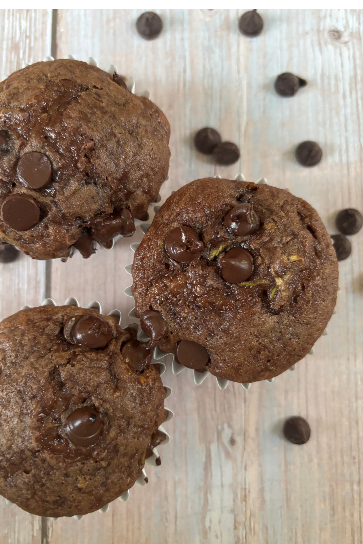 Gluten Free Chocolate Zucchini Muffins with chocolate chips